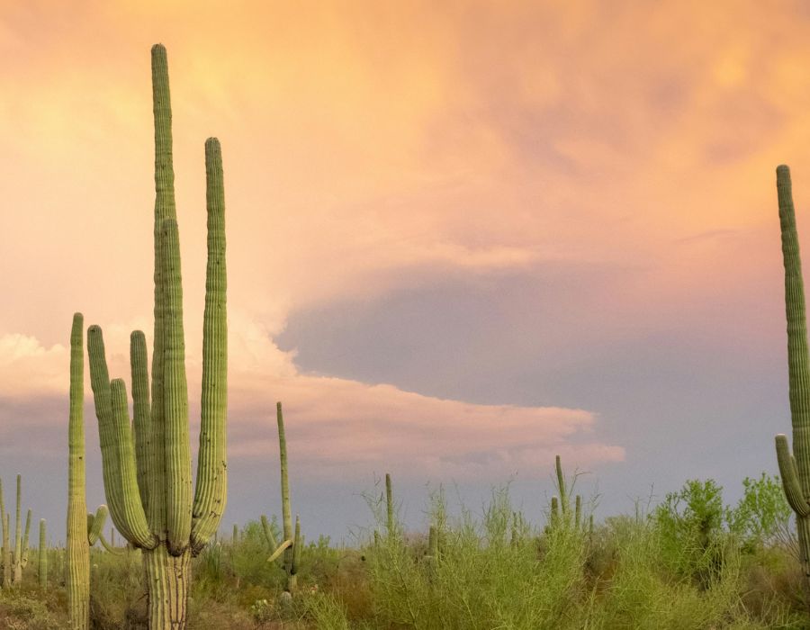 how-tucsons-monsoon-season-affects-your-hvac-system