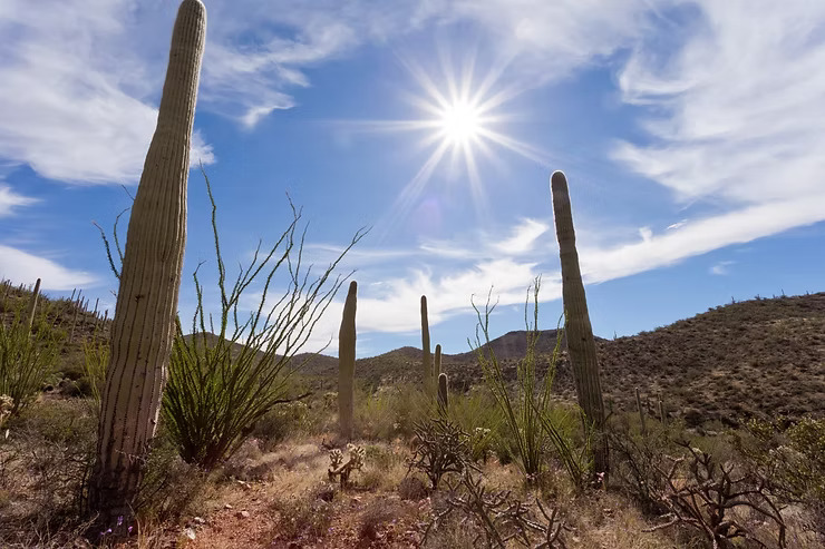 Stay Cool Tucson! Why Your AC Needs a Mid-Summer Checkup